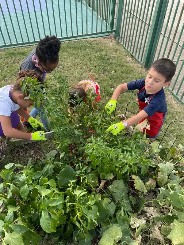 steam daycare, early childcare and education, early education daycare